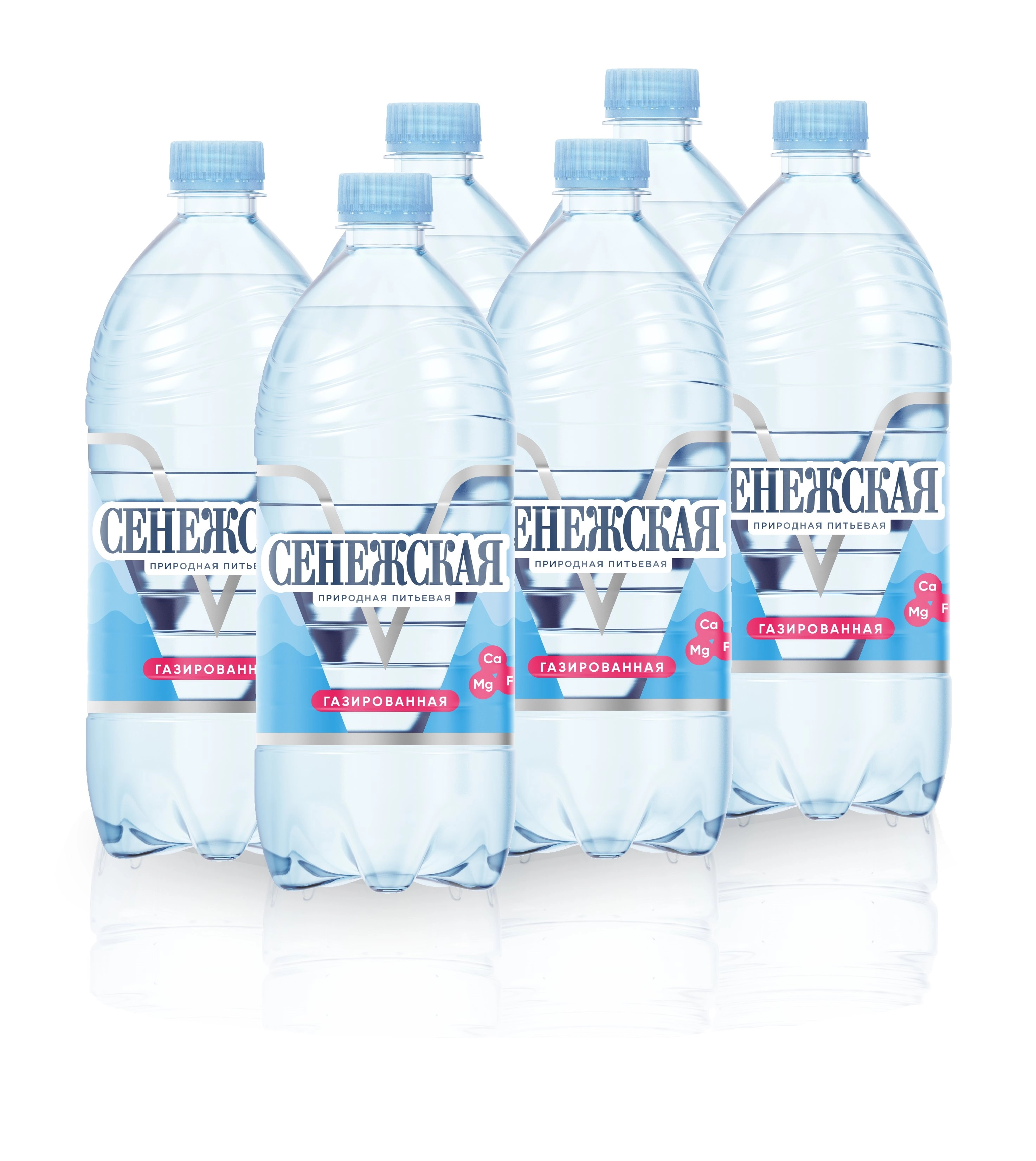 Вода минеральная Сенежская Газированная 1 л., 6 шт от магазина Одежда+